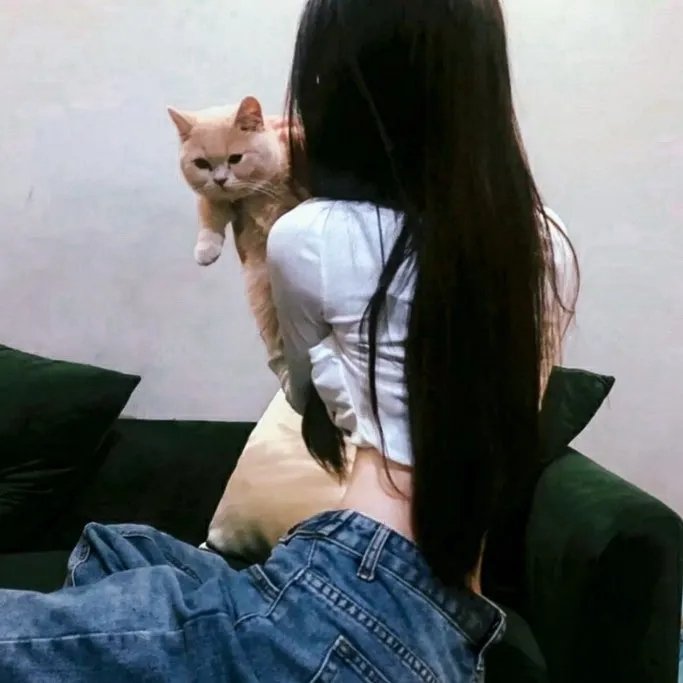 肥龙皇帝