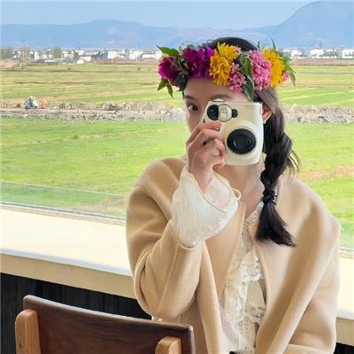 泰山锄奸记